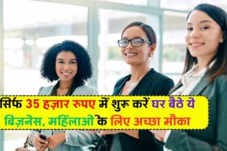 Business Idea: सिर्फ 35 हज़ार रुपए में शुरू करें घर बैठे ये बिज़नेस, महिलाओं के लिए अच्छा मौका