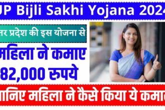 UP Bijli Sakhi Yojana 2024: उत्तर प्रदेश की इस योजना से महिला ने कमाए 82,000 रुपये, जानिए महिला ने कैसे किया ये कमाल