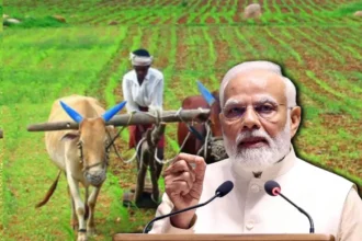 PM Kisan eKYC Update 2024: जानिए कैसे करें PM Kisan KYC, नया नियम लागू